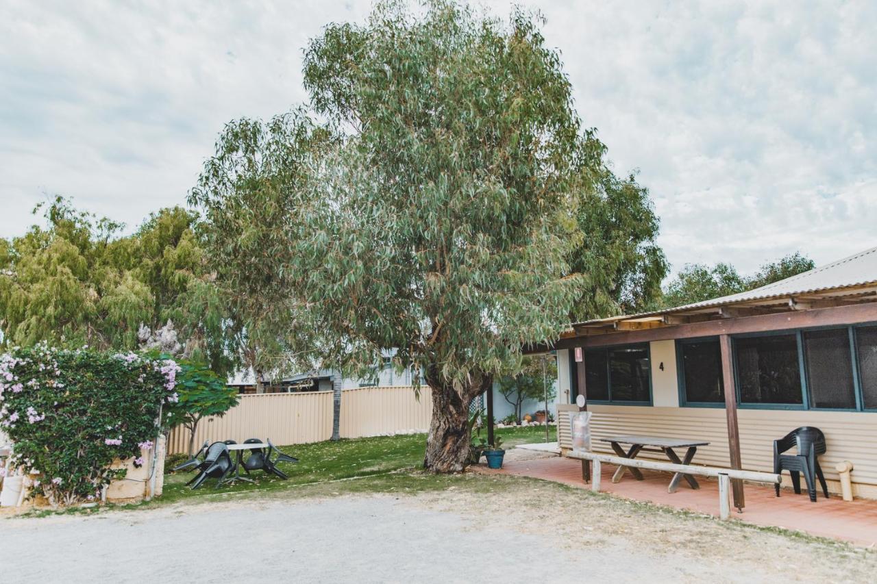 Dongara Hotel Motel Exterior photo